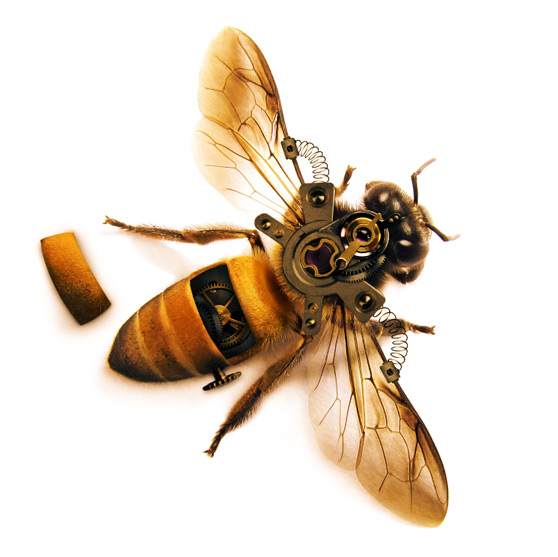 抠图软件，五部快速合成，一个小蜜蜂就这样奇迹诞生了！